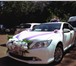 Фото в Авторынок Аренда и прокат авто Toyota Camry-классический свадебный автомобиль. в Оренбурге 300