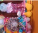 Изображение в Хобби и увлечения Разное продаю мягкие игрушки ручной работы недорого. в Барнауле 400