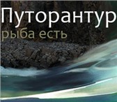 Foto в Отдых и путешествия Туры, путевки Компания «Путорантур» приглашает северную в Москве 0