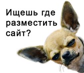 Фото в Прочее,  разное Разное Web хостинг сайтов включает•популярную панель в Калуге 1