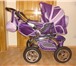 Фотография в Для детей Детские коляски Продается коляска-трансформер Adamex PANDA в Тюмени 8 000