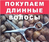 Фотография в Красота и здоровье Салоны красоты Прием волос в вашем городе! Куплю Дорого в Москве 50 000