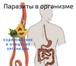 Фотография в Красота и здоровье Похудение, диеты Эффективное очищение организма от токсинов, в Москве 1 800
