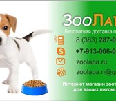 Foto в Домашние животные Корм для животных Интернет-магазин зоотоваров. С Доставкой в Новосибирске 0