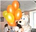 Изображение в Развлечения и досуг Разное Медведя любят дети и взрослые!) Медведь это в Москве 2 000