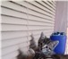 Изображение в Домашние животные Отдам даром Только в добрые руки: Два премилых котенка, в Челябинске 100