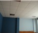 Изображение в Недвижимость Аренда нежилых помещений Сдается в аренду помещение под офис в здании в Орле 9 000