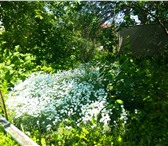 Foto в Недвижимость Земельные участки Земельный участок в Деме, СНТ "Отдых" 4,5 в Уфе 650 000