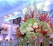 Изображение в Развлечения и досуг Организация праздников Оформление свадебного зала, выполним все в Москве 40 000