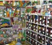Фото в Для детей Детские игрушки Приглашаем Вас посетить оптовый склад игрушек в Сочи 100