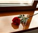 Foto в Строительство и ремонт Двери, окна, балконы Выбор подоконника для дома – дело чуть более в Электростали 500