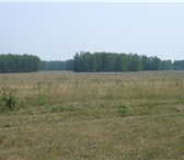 Изображение в Недвижимость Земельные участки 5 земельных участков по 9, 4 Га,  Каслинский в Челябинске 650 000