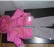 Изображение в Одежда и обувь Детская одежда Продам зимнийй костюм на девочку(куртка с в Тюмени 2 000
