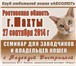 Фотография в Домашние животные Выставки кошек Приглашаем Вас принять участие в фелиногическом в Шахты 0