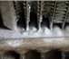Фото в Авторынок Автосервис, ремонт Ремонт радиаторов и автокондиционеров напылением в Пензе 0