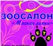 Изображение в Домашние животные Стрижка собак Стрижка cобак и кошек в Клину. Зоосалон Мягкие в Клин 0