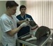 Изображение в Домашние животные Услуги для животных Врач-стоматолог является важным специалистом в Москве 1 000