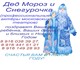 Дедушка Мороз и Снегурочка (профессионал