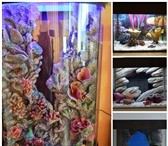 Изображение в Домашние животные Рыбки Marvel-water decor – это комплекс композитных в Перми 1 000