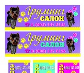 Фотография в Домашние животные Стрижка собак Профессиональный грумер подстрижет вашего в Котельники 1 300