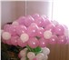 Фото в Развлечения и досуг Организация праздников оригинальные подарки из воздушных шариков. в Дзержинске 300