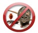 Foto в Прочее,  разное Разное Уничтожение клопов тараканов всех насекомых в Москве 1 500