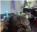 Изображение в Красота и здоровье Салоны красоты Мобильная студия причесок приглашает парикмахеров, в Улан-Удэ 0