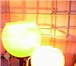 Изображение в Мебель и интерьер Светильники, люстры, лампы В последнее время светильник с диммером стал в Ижевске 0