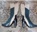 Фотография в Одежда и обувь Женская обувь Сапожки с рисунком, весна-осень, высокий в Кемерово 1 000