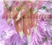 Фото в Красота и здоровье Косметические услуги Наращивание ногтей гелем и акрилом на дому в Санкт-Петербурге 1 200