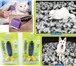Изображение в Домашние животные Товары для животных Фурминаторы для собак и кошек.Размер лезвия в Кемерово 650