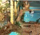 Декорирование аквапарка искусственным ка