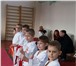 Фотография в Спорт Спортивные школы и секции Клуб каратэ "Сокол" приглашает всех желающих, в Москве 300