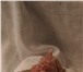 Фотография в Хобби и увлечения Разное Продам Свечки 3D по низким ценам. Петушки. в Новосибирске 35