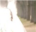 Изображение в Одежда и обувь Женская одежда Продам свадебное платье цвета "шампань". в Зеленоград 15 000