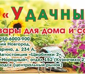 Фото в Работа Вакансии В сеть магазинов 'У дачный"-всё для сада в Нижнем Новгороде 500