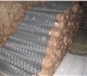 Сетка рабица оцинкованная, рулон 10 метр