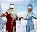Фотография в Развлечения и досуг Организация праздников Новогодние и рождественские елки для малышей в Москве 800