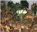 Фото в Мебель и интерьер Мебель для дачи и сада Мебель из массива. Россия. Столы, стулья в Набережных Челнах 100 000
