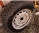 Фотография в Авторынок Шины и диски Продам Зимние шины AMTEL NORD MASER 2 175/70 в Челябинске 3 000