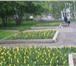 Foto в Недвижимость Квартиры Продам отличную 2х комнатную ленинградку в Красноярске 3 100 000