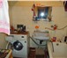 Foto в Недвижимость Квартиры продаю3ком,кв,61/43/7 1/3кирп,1из,окна пластик,высота3м,сан/уз/отд,теплая,светлая,без в Омске 2 000 100