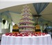 Изображение в Развлечения и досуг Организация праздников Пирамида шампанского Одним из пунктов свадебного в Волгограде 2 000