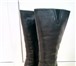 Foto в Одежда и обувь Женская обувь Продам зимние женские сапоги из натуральной в Чебоксарах 1 700