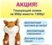 Foto в Для детей Детские игрушки Срочная бесплатная доставка! Тестирование в Санкт-Петербурге 990