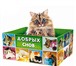 Фото в Домашние животные Товары для животных Яркие, красочные и удобные коробки для вашего в Саратове 200