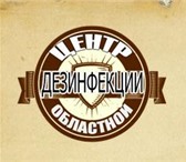Foto в Прочее,  разное Разное Уничтожим тараканов в вашей квартире быстро в Волгограде 1 100