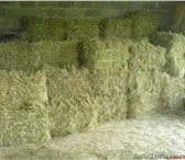 Фото в Домашние животные Корм для животных Брикет 35 кг цена за штуку с доставкой в Кемерово 150