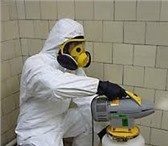 Фотография в Прочее,  разное Разное уничтожаем насекомых: тараканов, блох, клопов, в Саратове 1