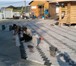 Фото в Строительство и ремонт Другие строительные услуги Асфальтирование, дорожное строительство, в Подольске 500